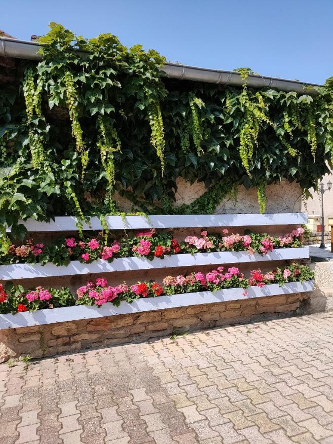 La Ferme Du Grand Faubourg Bed & Breakfast Понт-де-Во Екстериор снимка
