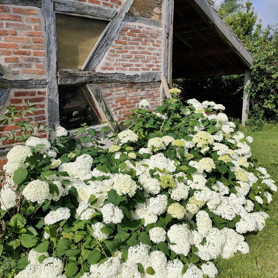 La Ferme Du Grand Faubourg Bed & Breakfast Понт-де-Во Екстериор снимка