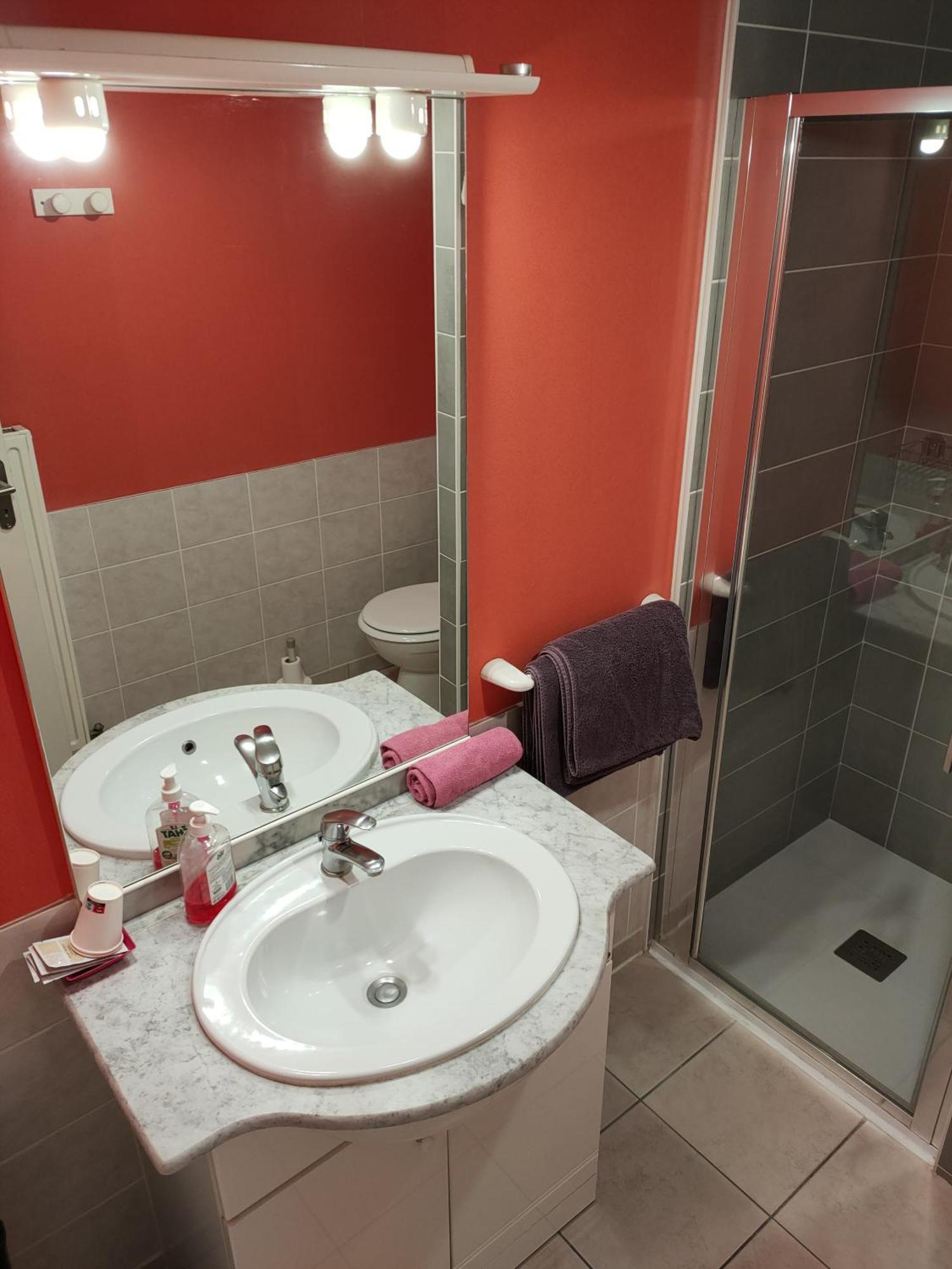 La Ferme Du Grand Faubourg Bed & Breakfast Понт-де-Во Екстериор снимка
