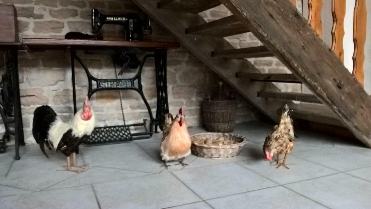 La Ferme Du Grand Faubourg Bed & Breakfast Понт-де-Во Екстериор снимка